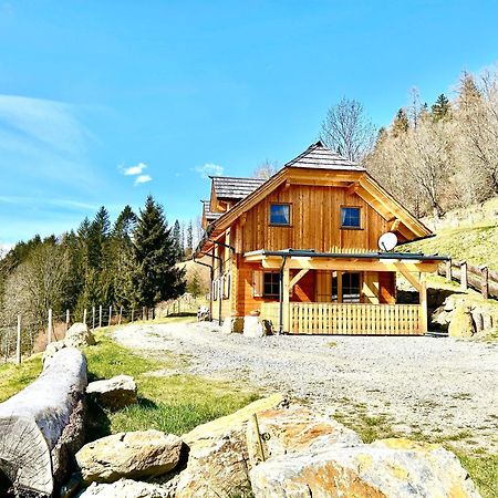 فيلا Laerchenhaus ,,Unterer Brodl" Sankt Peter am Kammersberg المظهر الخارجي الصورة