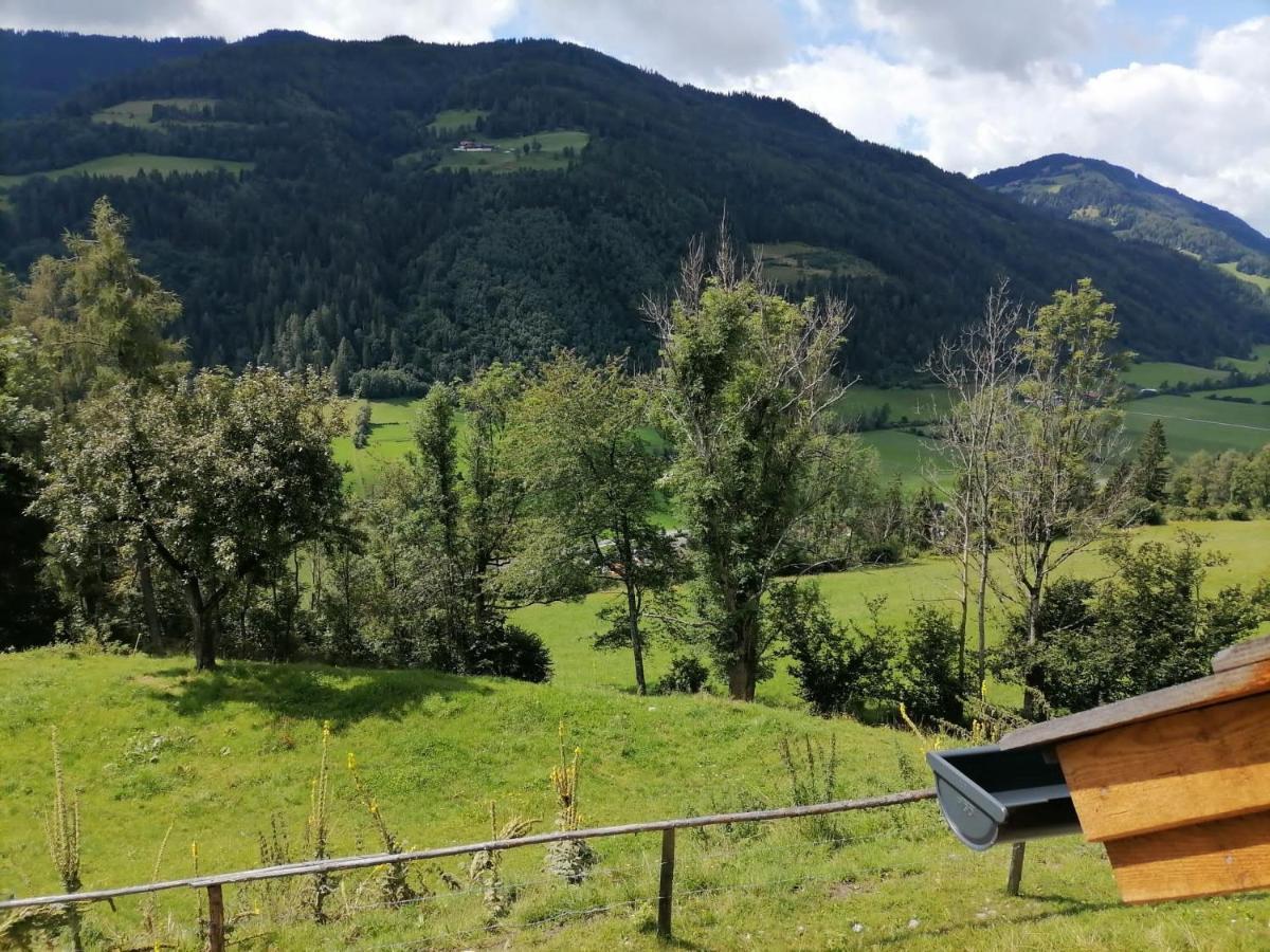 فيلا Laerchenhaus ,,Unterer Brodl" Sankt Peter am Kammersberg المظهر الخارجي الصورة
