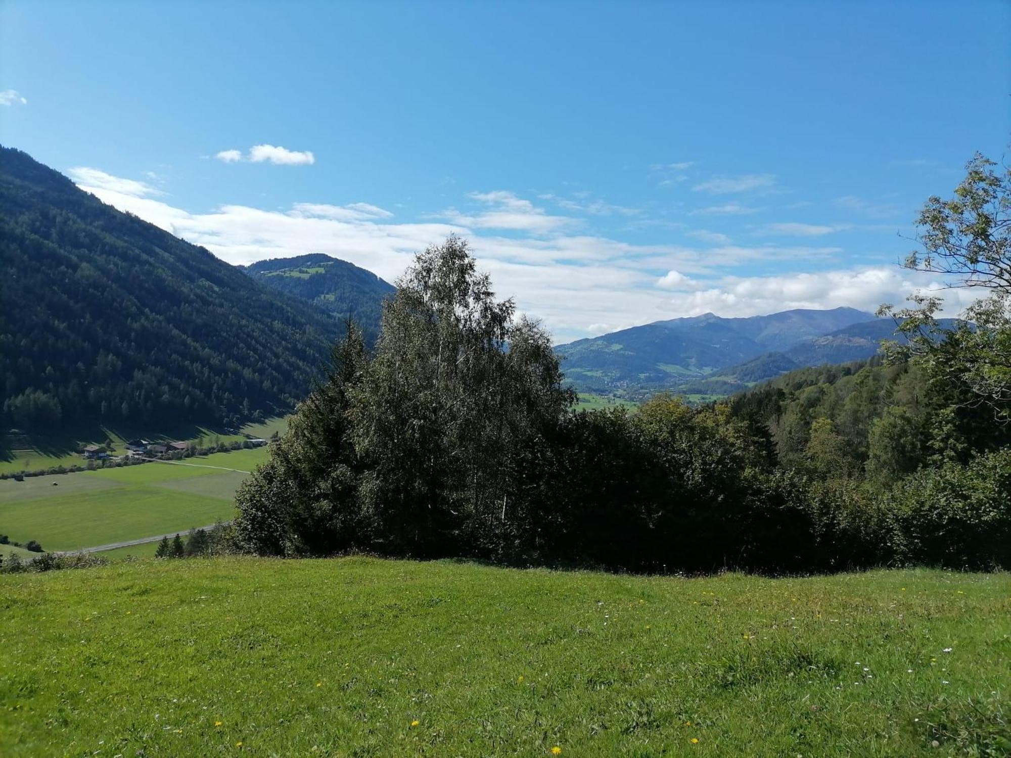 فيلا Laerchenhaus ,,Unterer Brodl" Sankt Peter am Kammersberg المظهر الخارجي الصورة