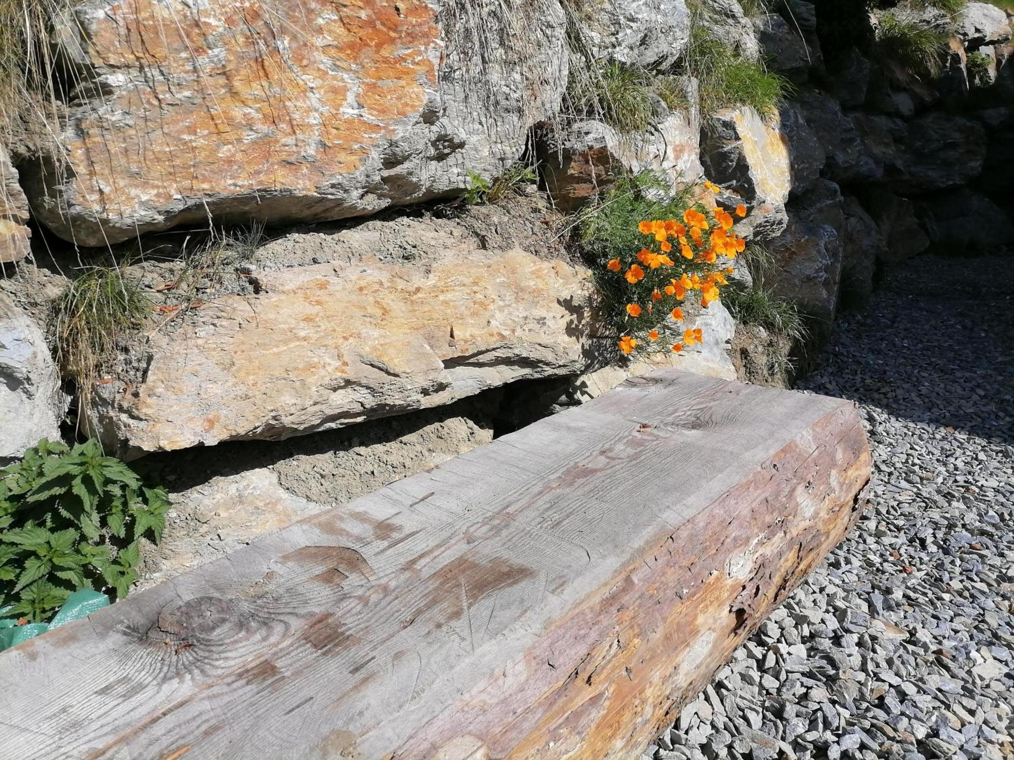 فيلا Laerchenhaus ,,Unterer Brodl" Sankt Peter am Kammersberg المظهر الخارجي الصورة