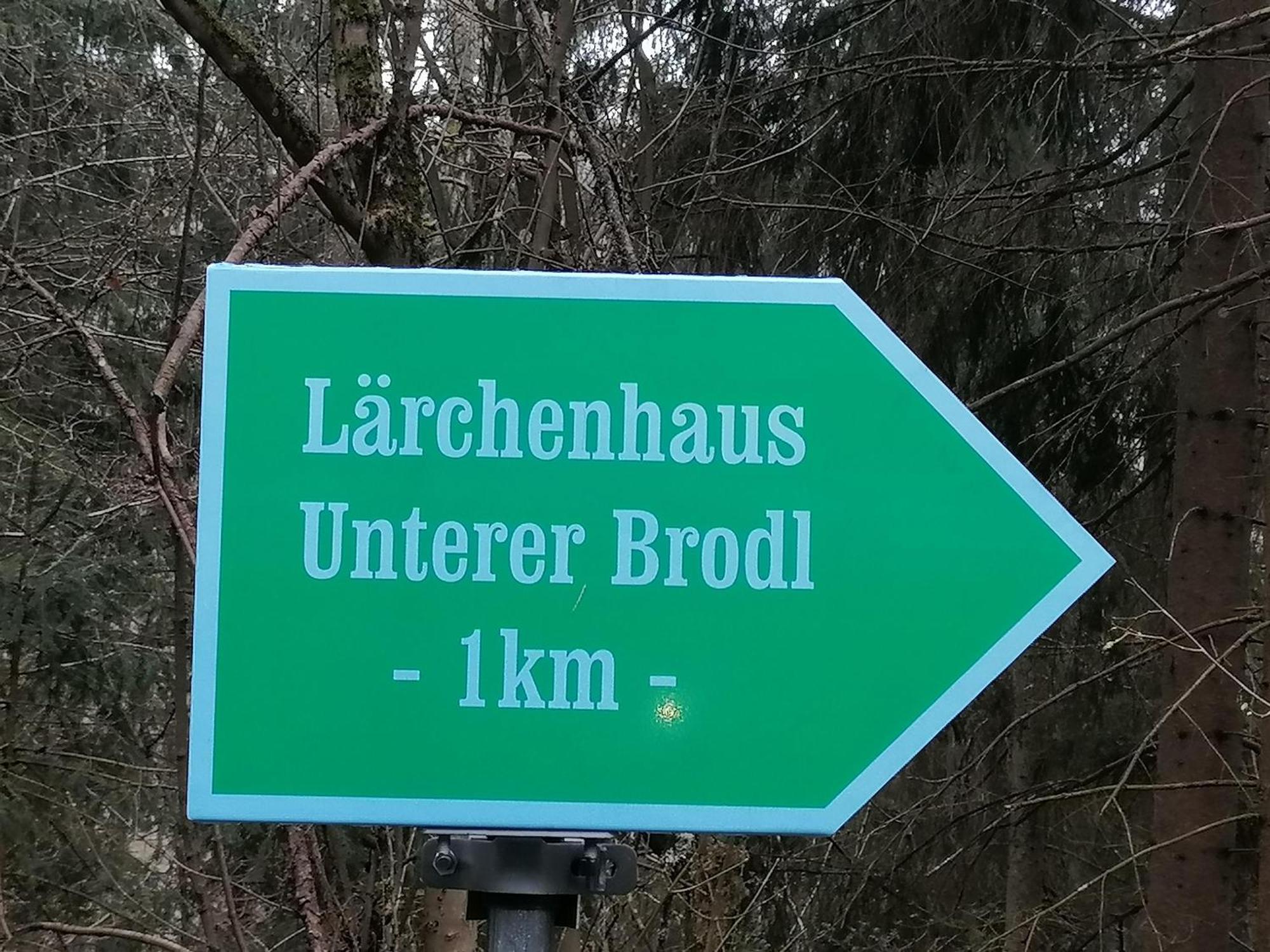 فيلا Laerchenhaus ,,Unterer Brodl" Sankt Peter am Kammersberg المظهر الخارجي الصورة