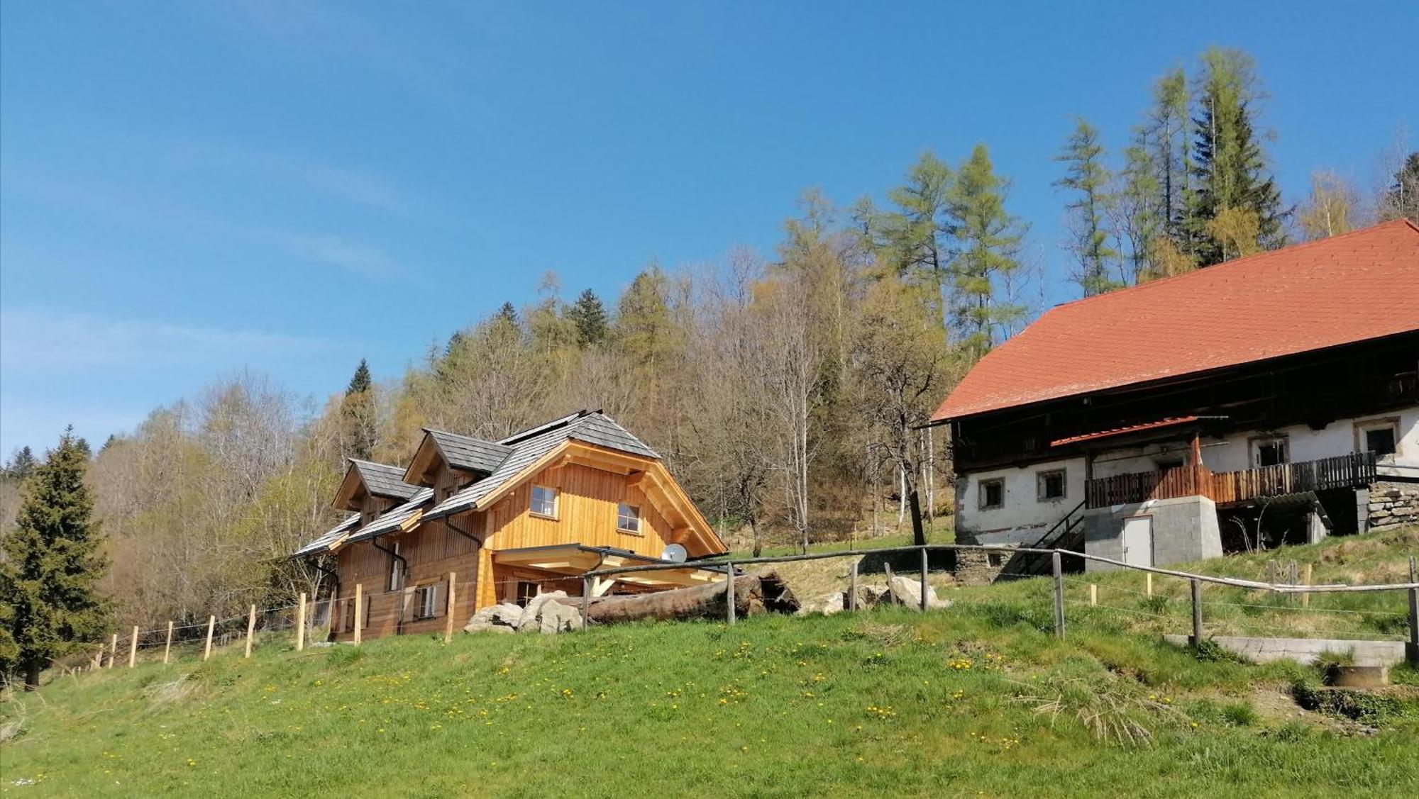فيلا Laerchenhaus ,,Unterer Brodl" Sankt Peter am Kammersberg المظهر الخارجي الصورة
