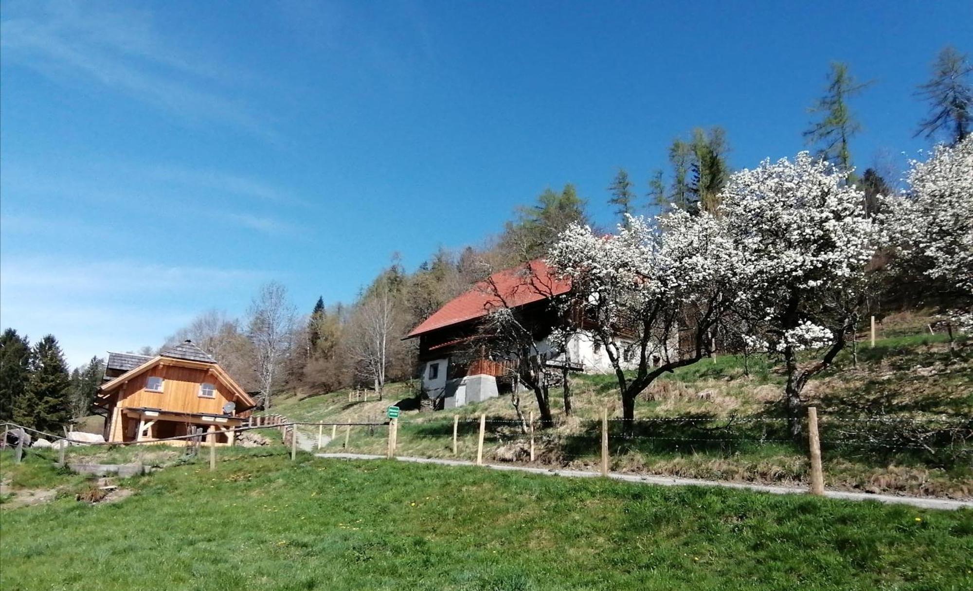 فيلا Laerchenhaus ,,Unterer Brodl" Sankt Peter am Kammersberg المظهر الخارجي الصورة