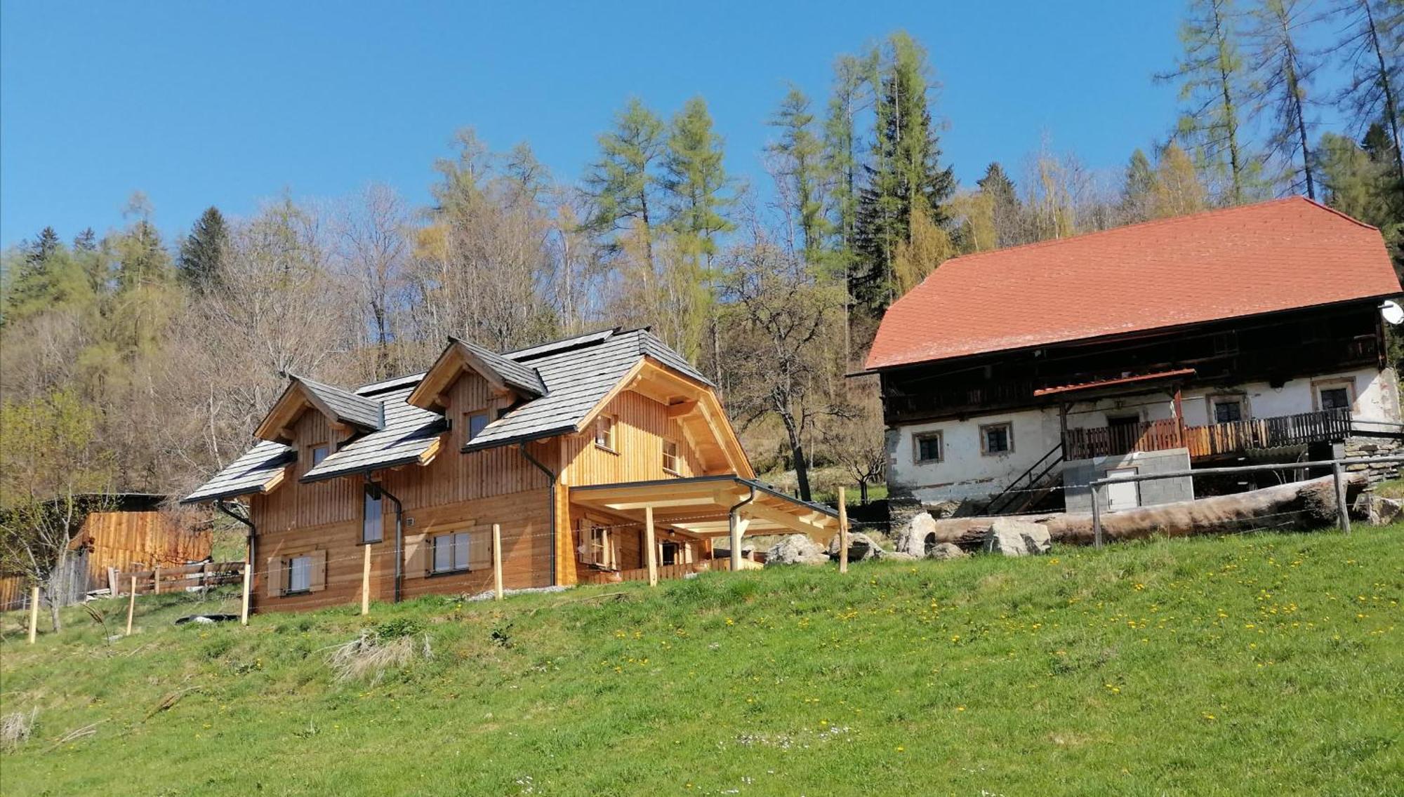 فيلا Laerchenhaus ,,Unterer Brodl" Sankt Peter am Kammersberg المظهر الخارجي الصورة