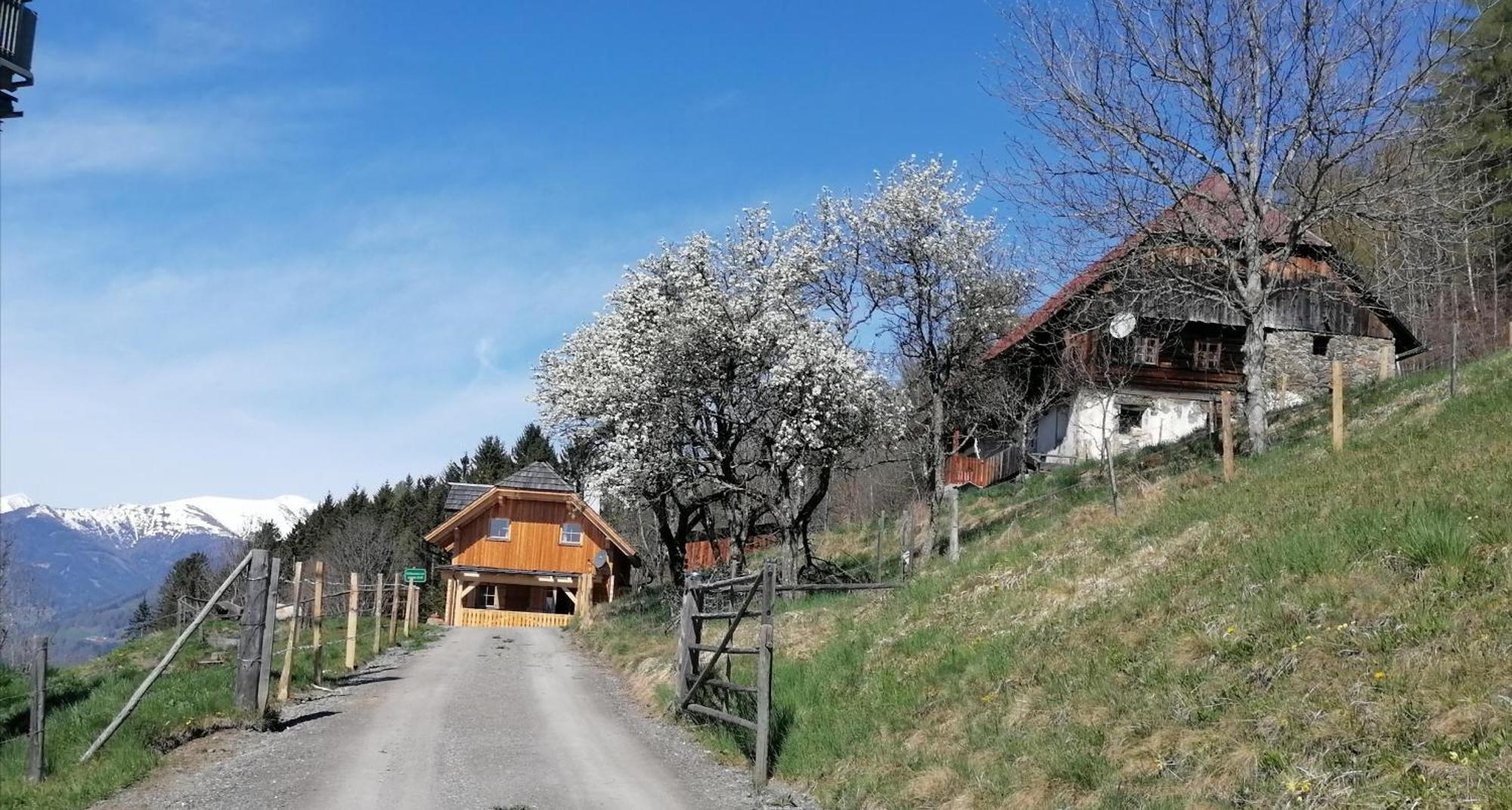 فيلا Laerchenhaus ,,Unterer Brodl" Sankt Peter am Kammersberg المظهر الخارجي الصورة