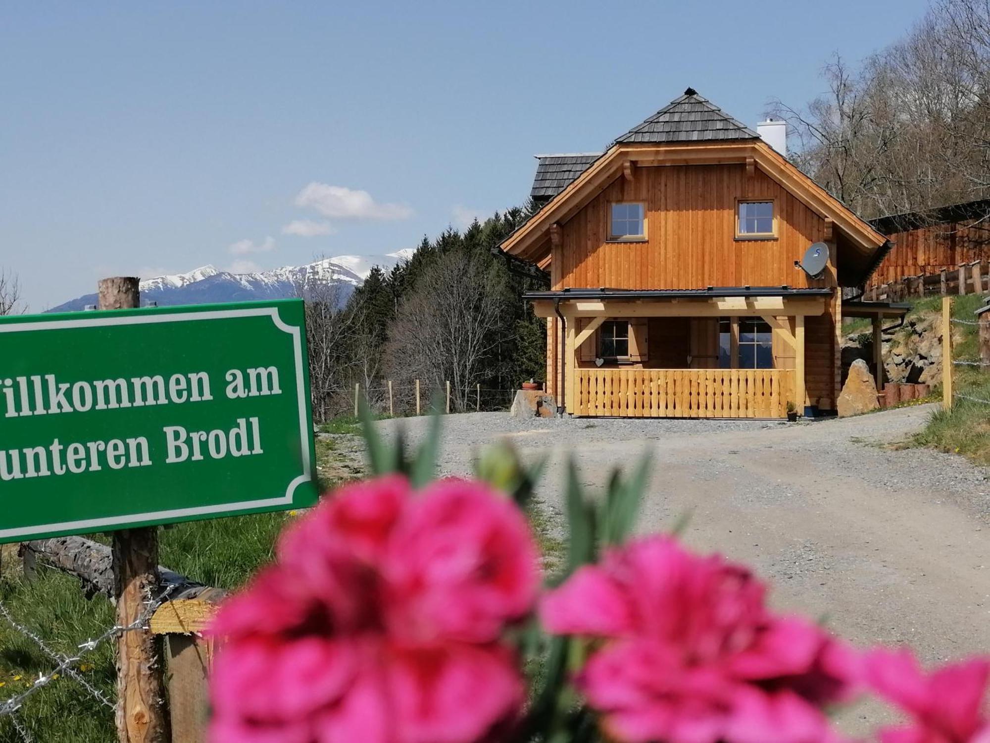 فيلا Laerchenhaus ,,Unterer Brodl" Sankt Peter am Kammersberg المظهر الخارجي الصورة