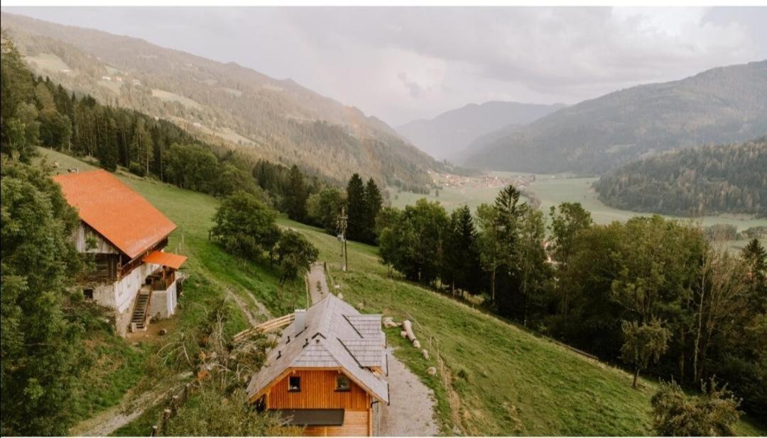 فيلا Laerchenhaus ,,Unterer Brodl" Sankt Peter am Kammersberg المظهر الخارجي الصورة