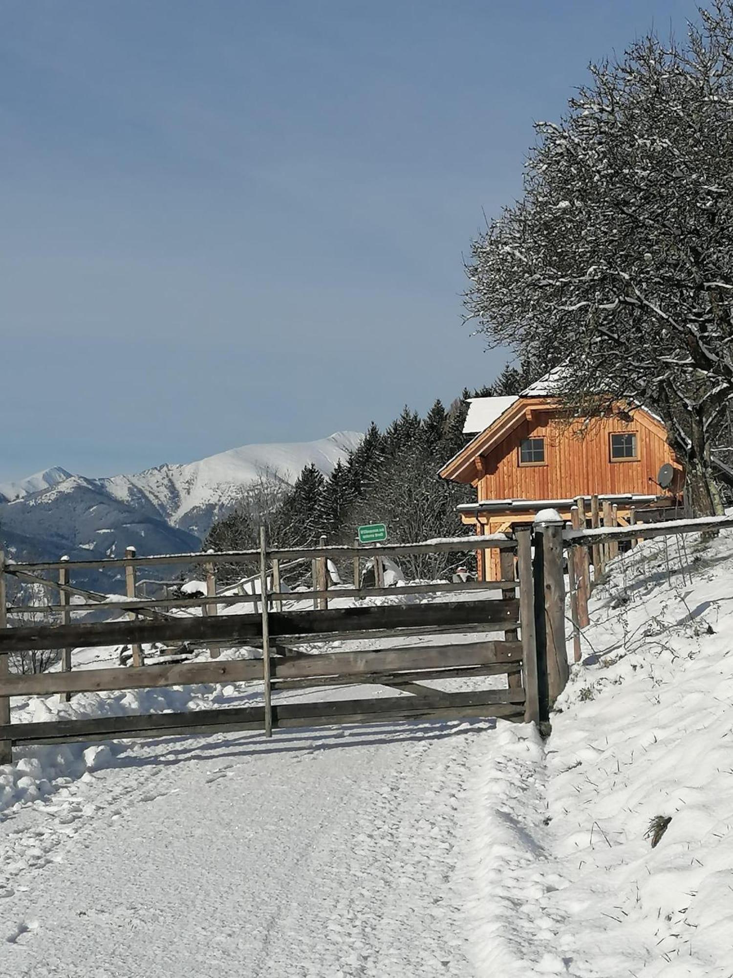فيلا Laerchenhaus ,,Unterer Brodl" Sankt Peter am Kammersberg المظهر الخارجي الصورة