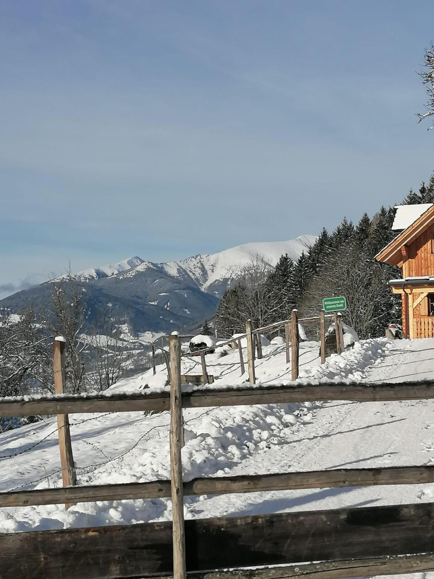 فيلا Laerchenhaus ,,Unterer Brodl" Sankt Peter am Kammersberg المظهر الخارجي الصورة